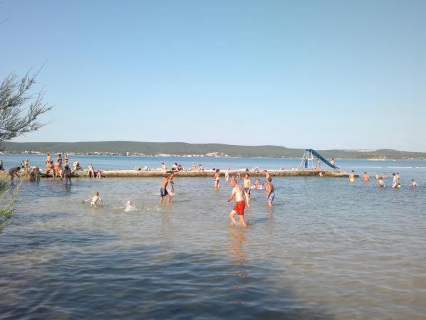 Apartmani Marija Pašman Oda fotoğraf