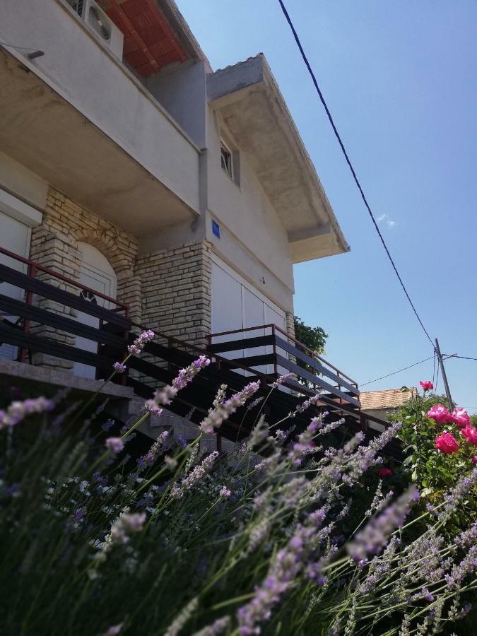 Apartmani Marija Pašman Dış mekan fotoğraf